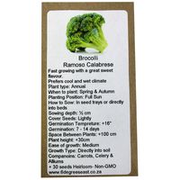 6 Degrees East Heirloom Veg Seeds - Broccoli - Ramoso Calabrese
